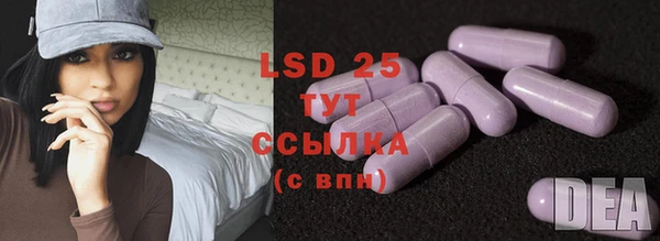 первитин Гусев