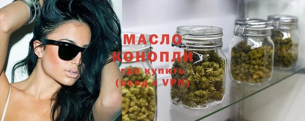 первитин Гусев