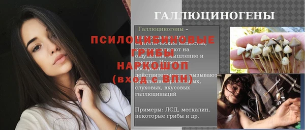 первитин Гусев