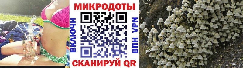Галлюциногенные грибы MAGIC MUSHROOMS  блэк спрут ссылка  Нестеровская 